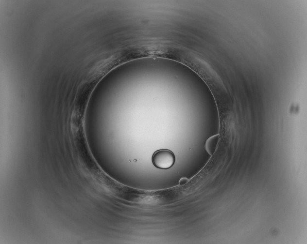X0000097840218200803141215