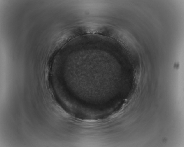 X0000097840219200803141215