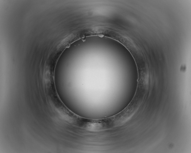 X0000097840220200803141215
