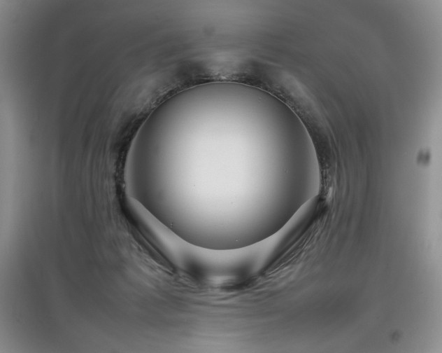 X0000097840221200803141215