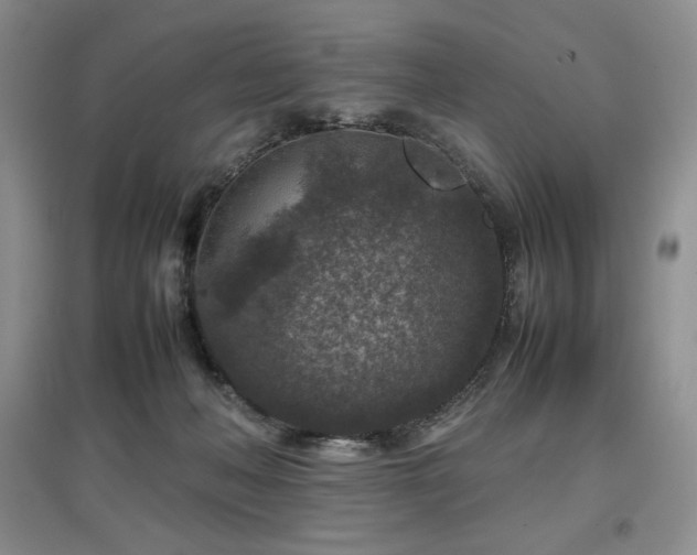 X0000097840222200803141215