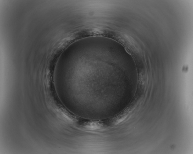 X0000097840223200803141215