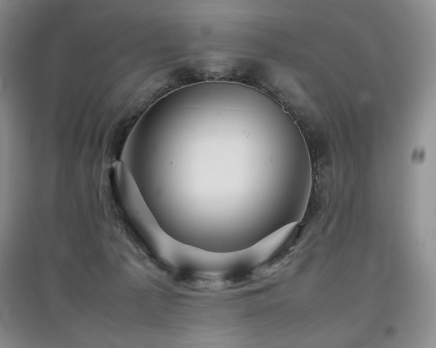 X0000097840225200803141215