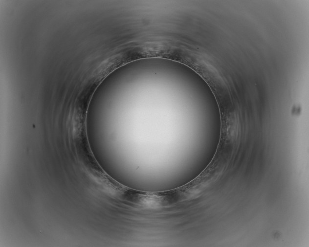 X0000097840226200803141215