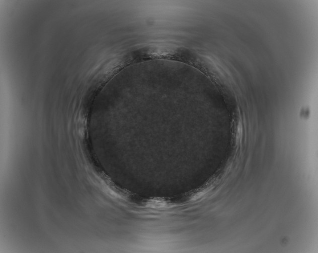 X0000097840227200803141215