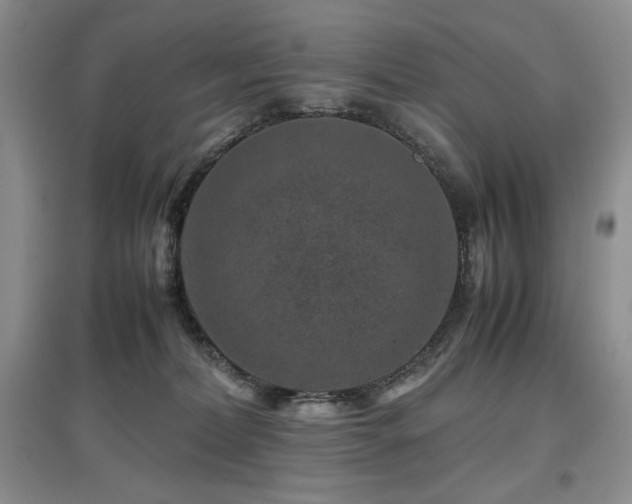 X0000097840228200803141215