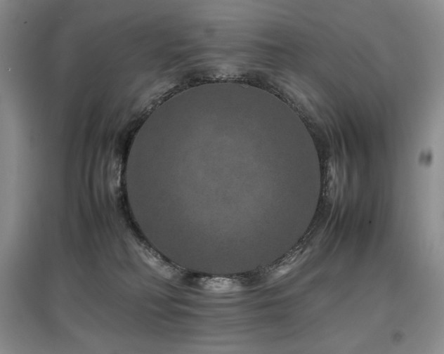 X0000097840230200803141215