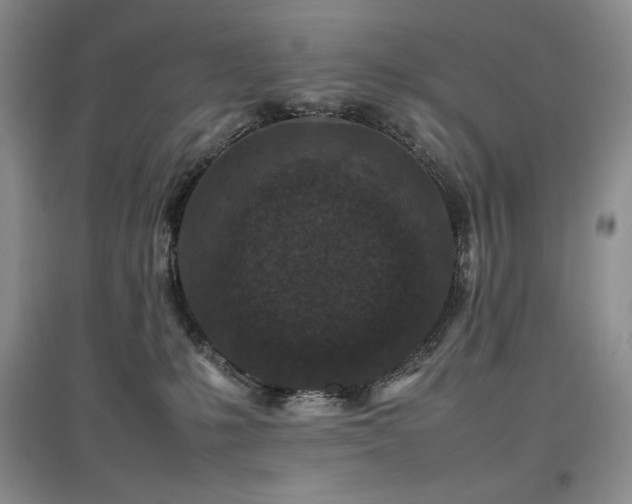 X0000097840231200803141215