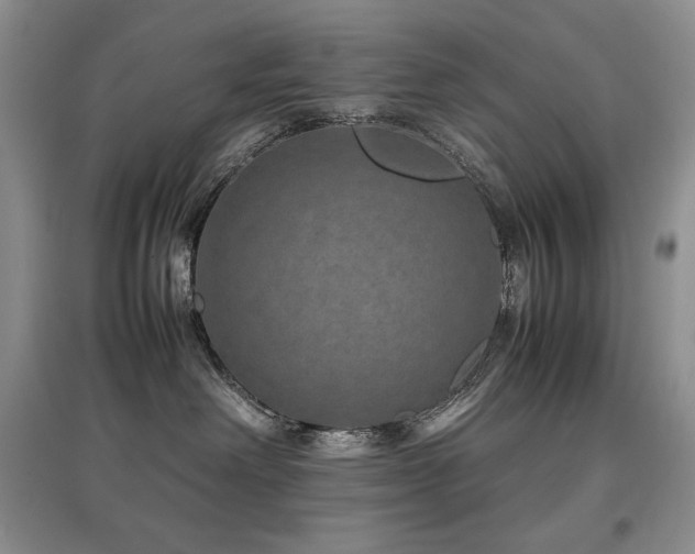 X0000097840238200803141215
