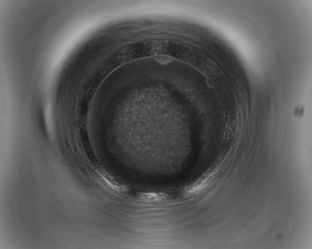 X0000097840239200803141215