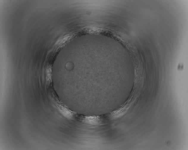 X0000097840240200803141215