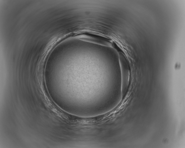 X0000097840241200803141214