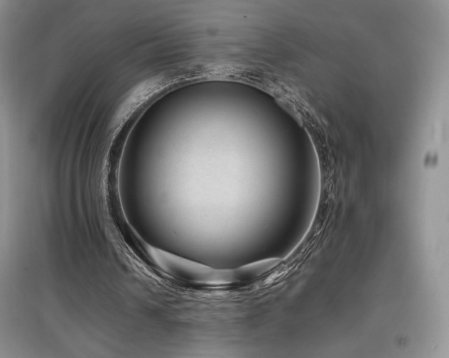 X0000097840242200803141214