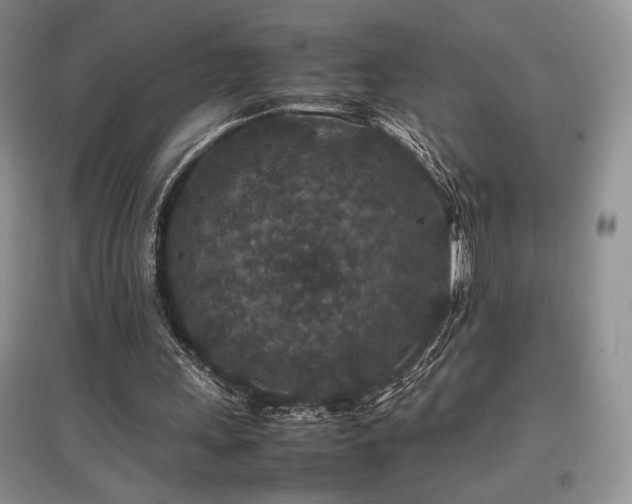 X0000097840243200803141214