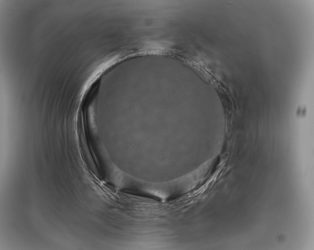 X0000097840244200803141214