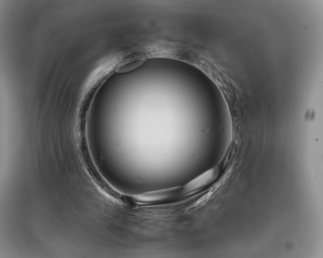 X0000097840245200803141214