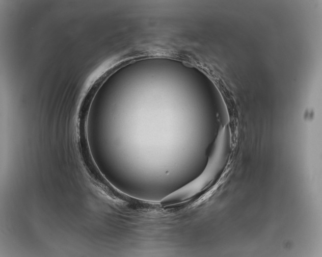X0000097840246200803141214