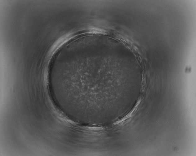 X0000097840247200803141214