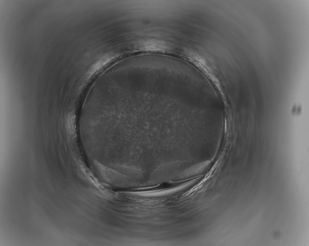 X0000097840249200803141214