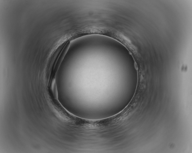 X0000097840250200803141214
