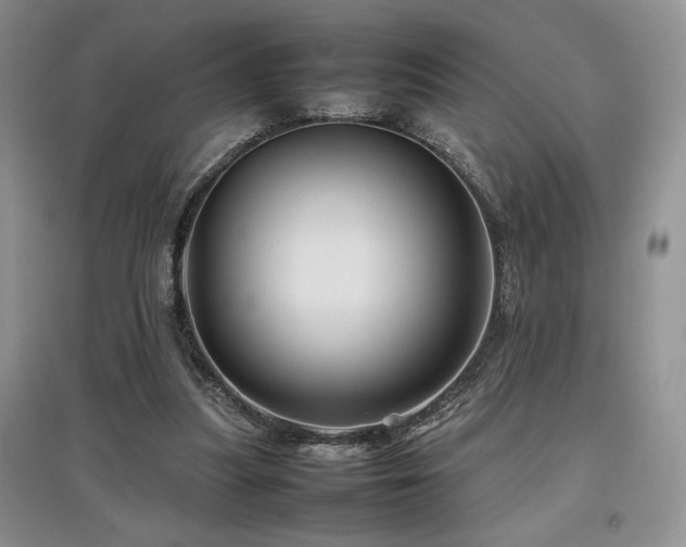 X0000097840251200803141214
