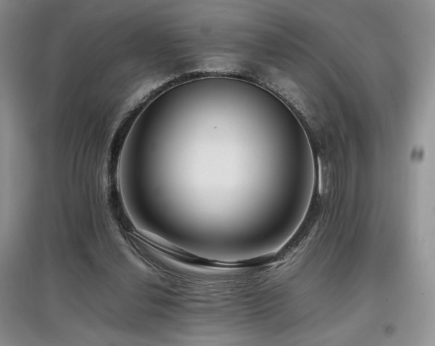 X0000097840252200803141214