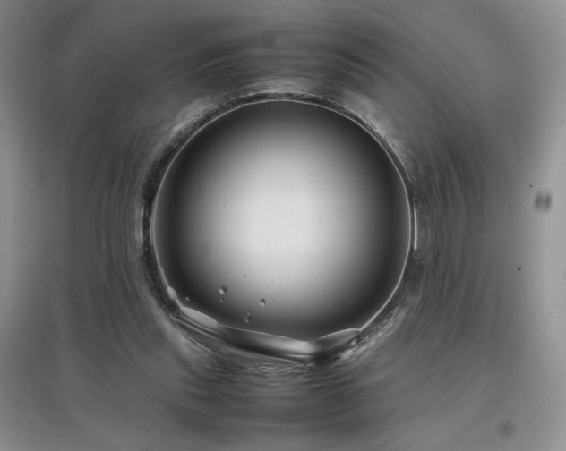 X0000097840253200803141214