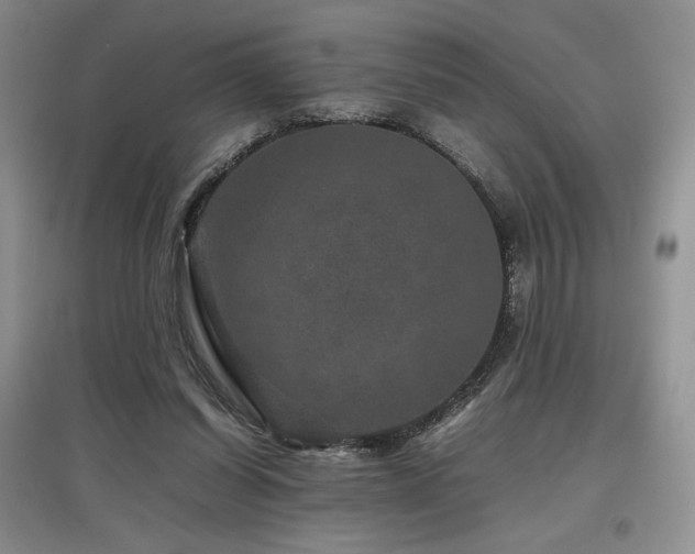 X0000097840254200803141214