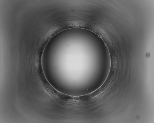 X0000097840255200803141214