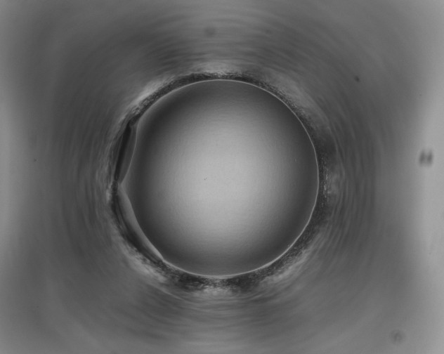 X0000097840256200803141214