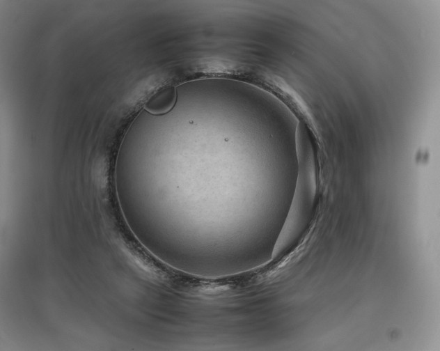 X0000097840257200803141214