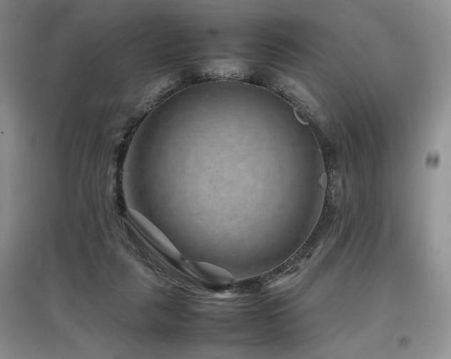 X0000097840259200803141214