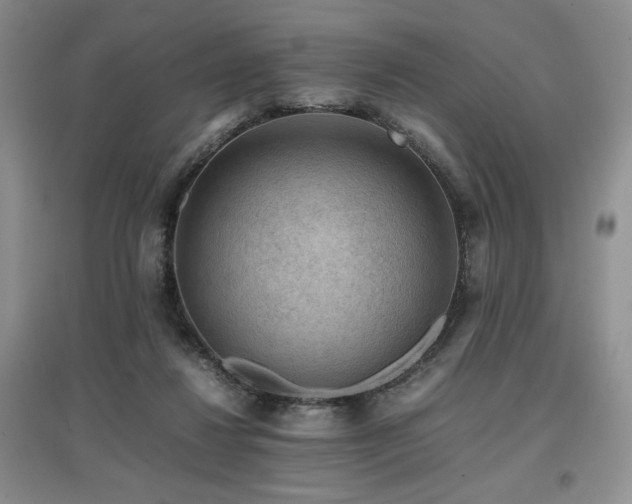 X0000097840260200803141214