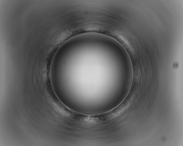 X0000097840261200803141214
