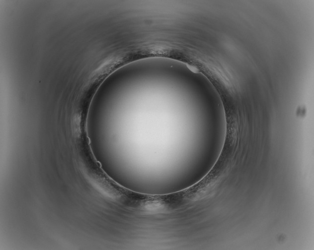 X0000097840262200803141214