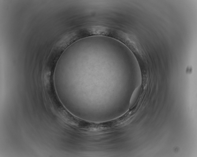 X0000097840263200803141214