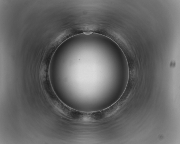 X0000097840264200803141214
