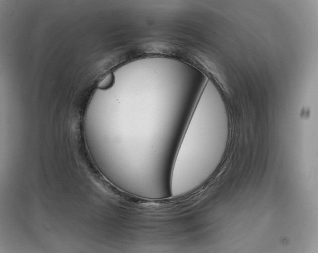 X0000097840265200803141214