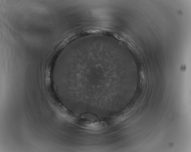 X0000097840267200803141214