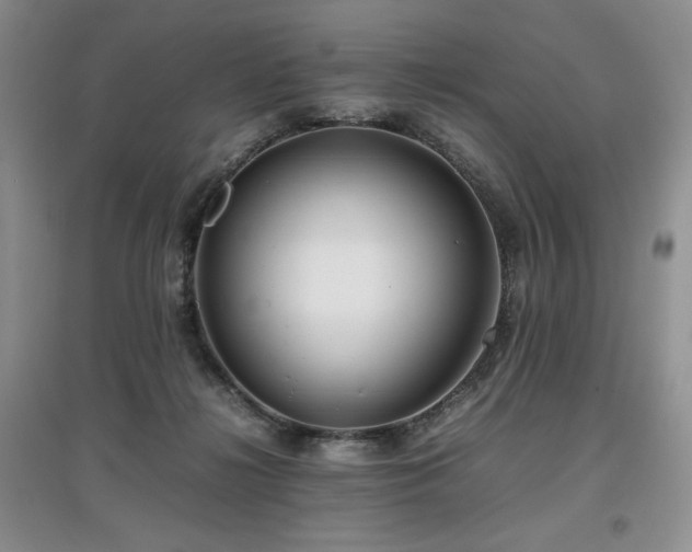 X0000097840268200803141214