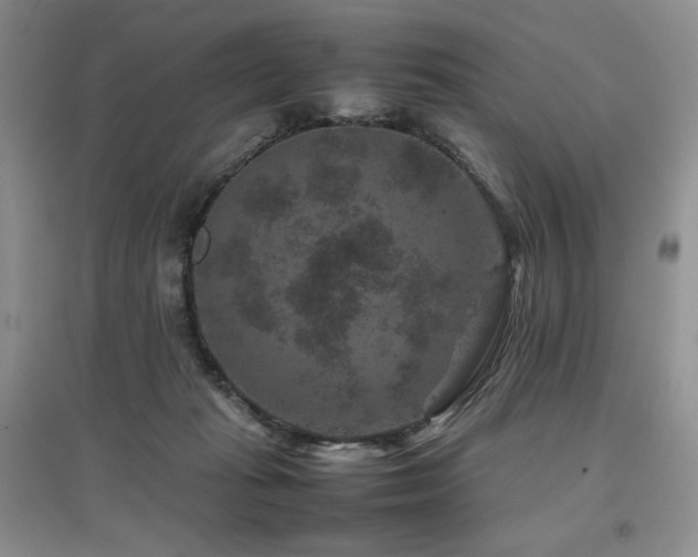 X0000097840269200803141214