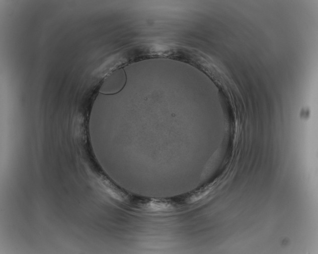 X0000097840270200803141214