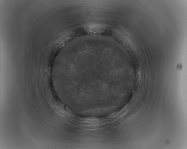 X0000097840271200803141214
