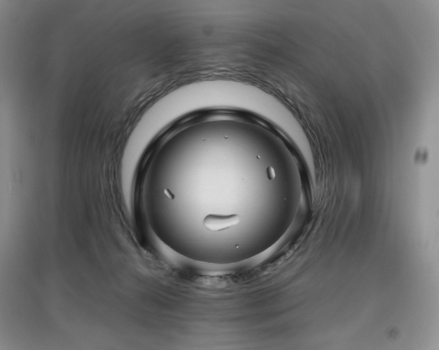 X0000097840272200803141214