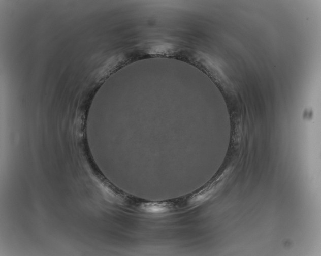 X0000097840273200803141214