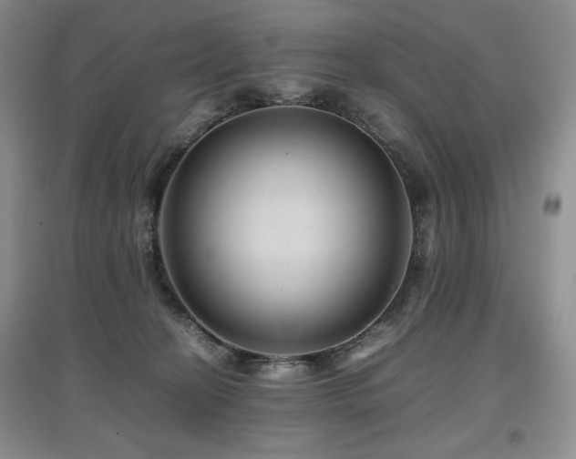 X0000097840274200803141214