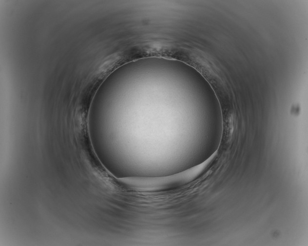 X0000097840276200803141214