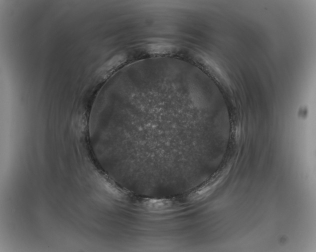 X0000097840277200803141214