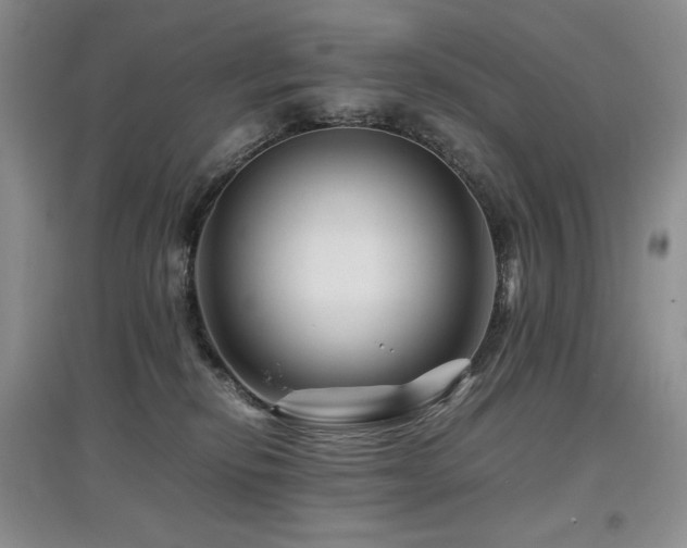 X0000097840278200803141214