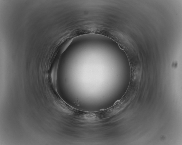 X0000097840279200803141214